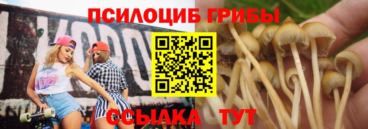 Галлюциногенные грибы прущие грибы  Псилоцибиновые грибы ЛСД  Отрадный  Вход с VPN 